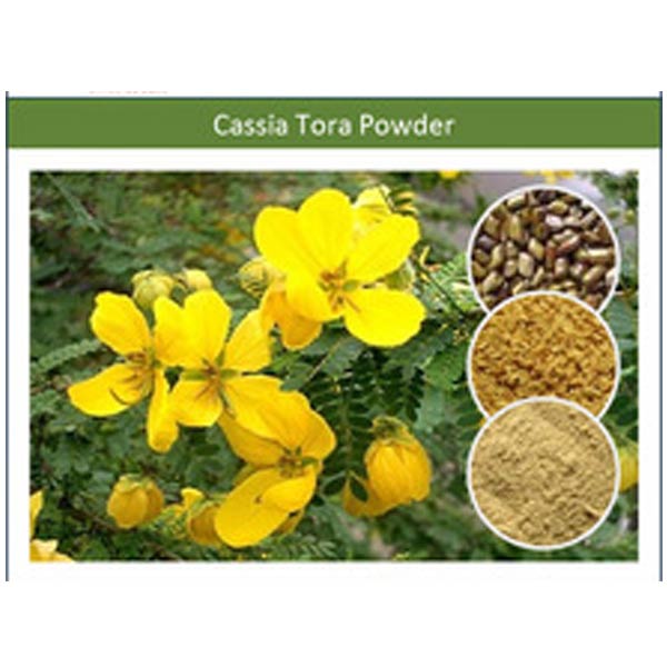 Cassia Tora Powder