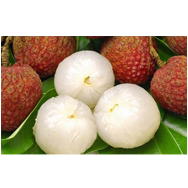 Lychee in Syrup