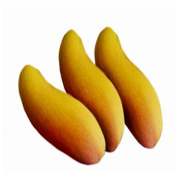 Mahachanok Mango