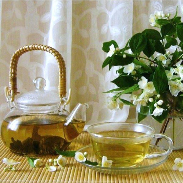 Jasmine Green Tea