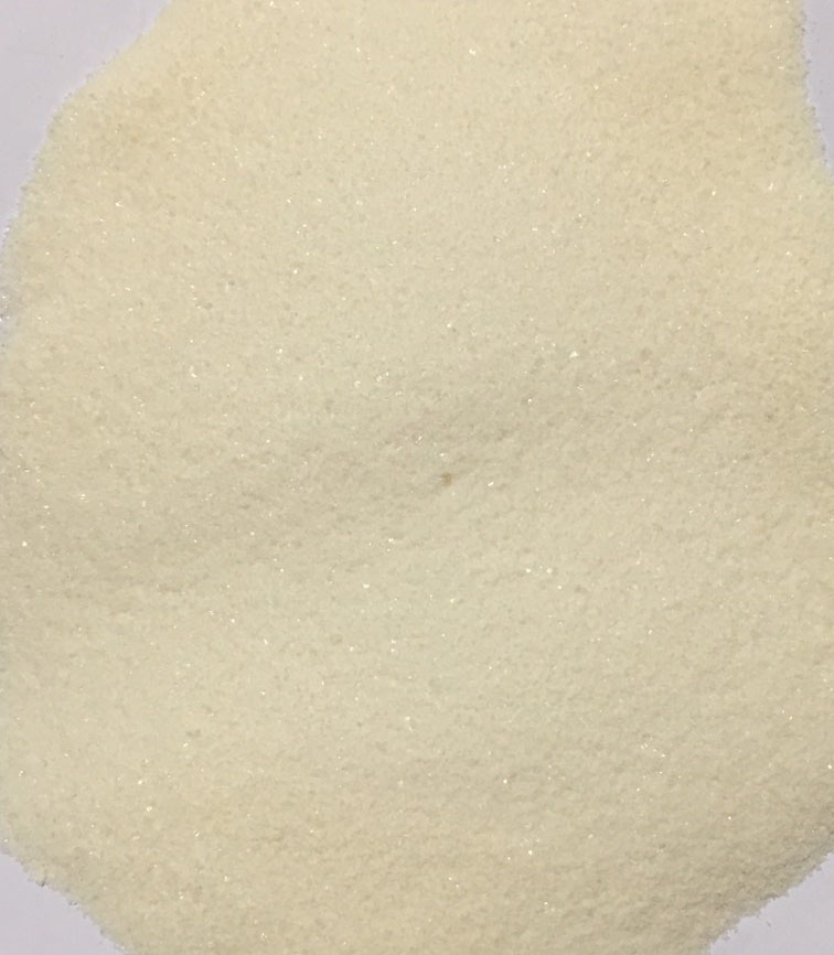 Sweetened Condensed Milk Powder