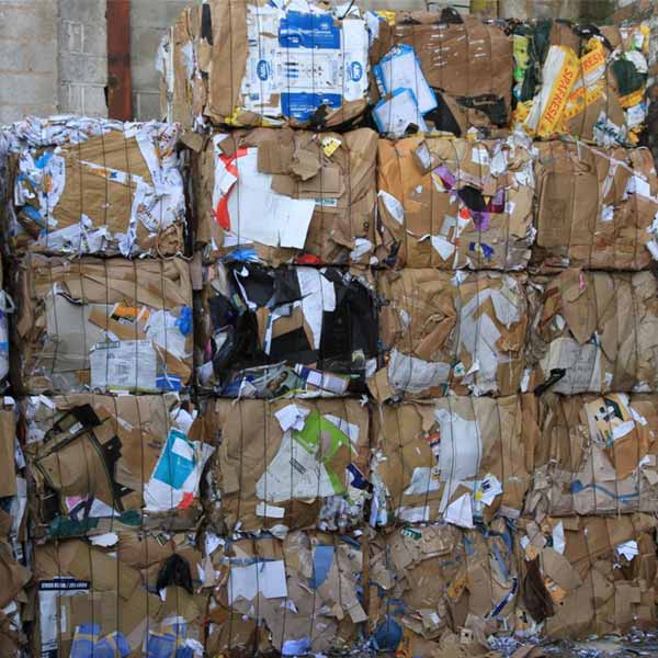 Paper Waste