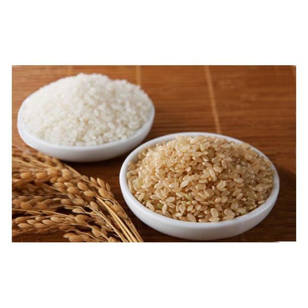 White Rice 