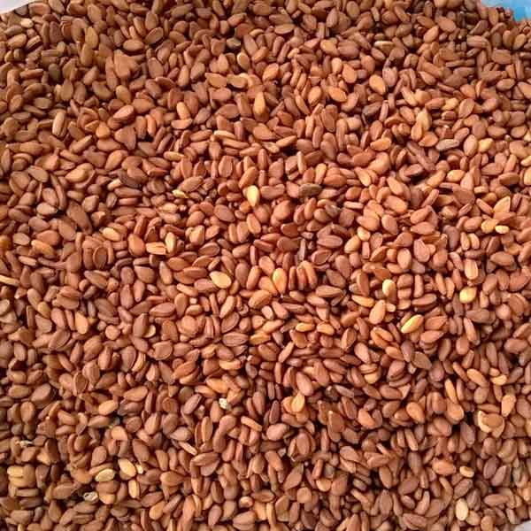 Brown Sesame Seeds