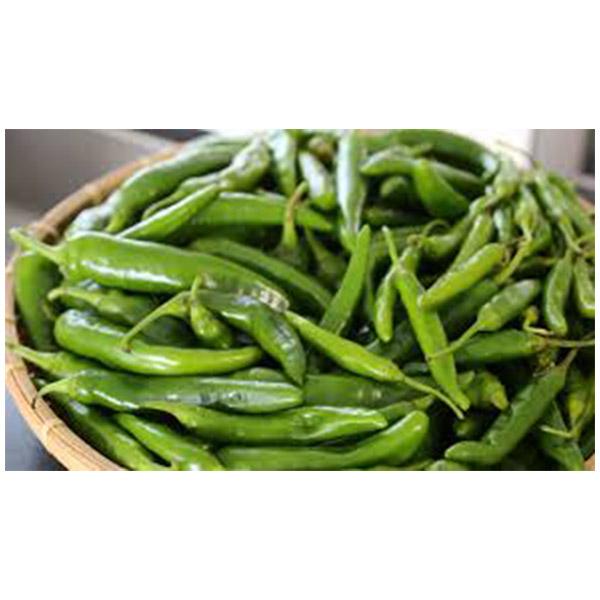 Fresh Green Chilli 