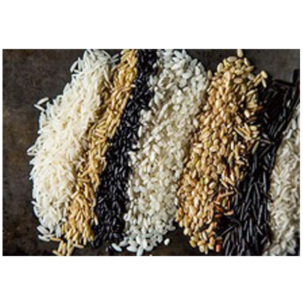 Jasmine Rice