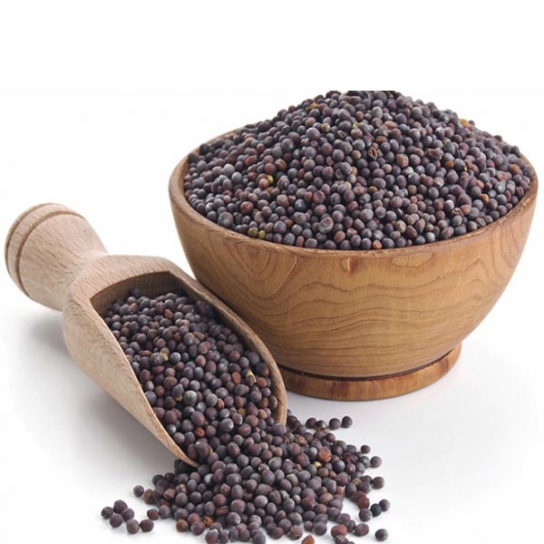 Mustard Seed 