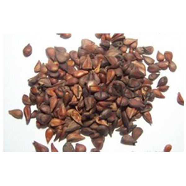 QUINCE SEEDS