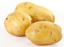 Fresh Cardinal Potato from Bangladesh