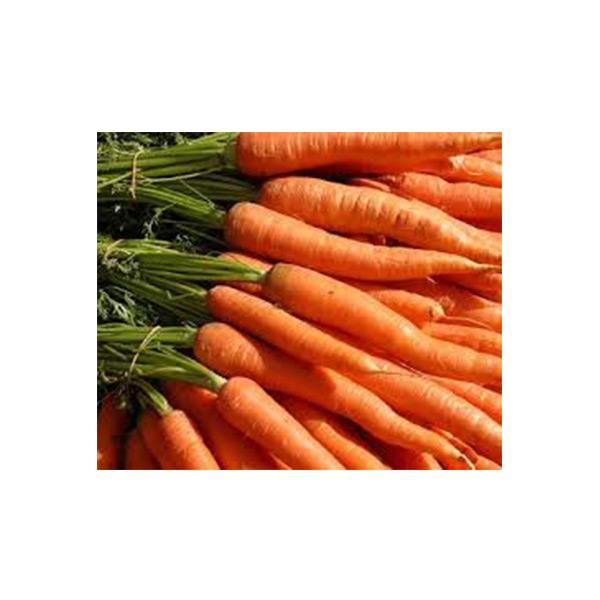 Fresh Carrots