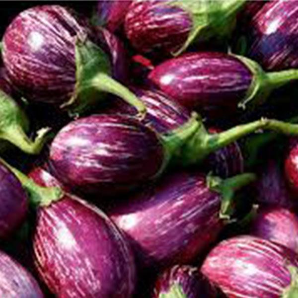 Fresh Eggplant 