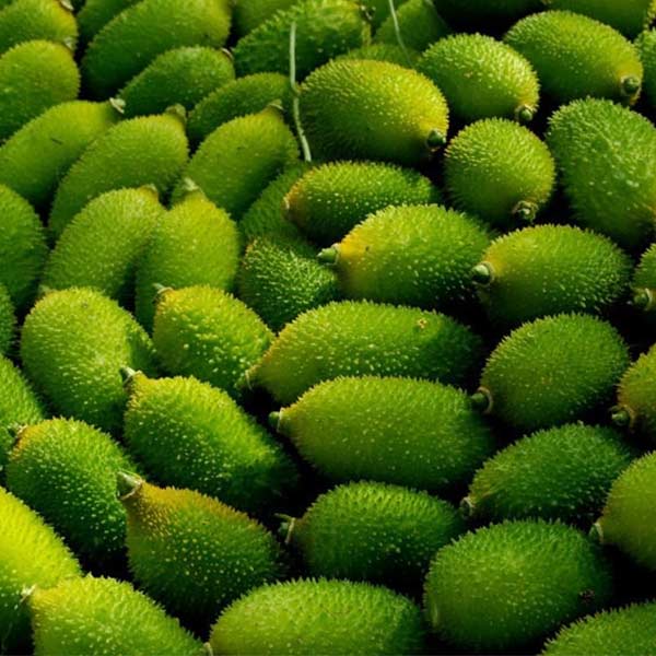 Fresh Kakral