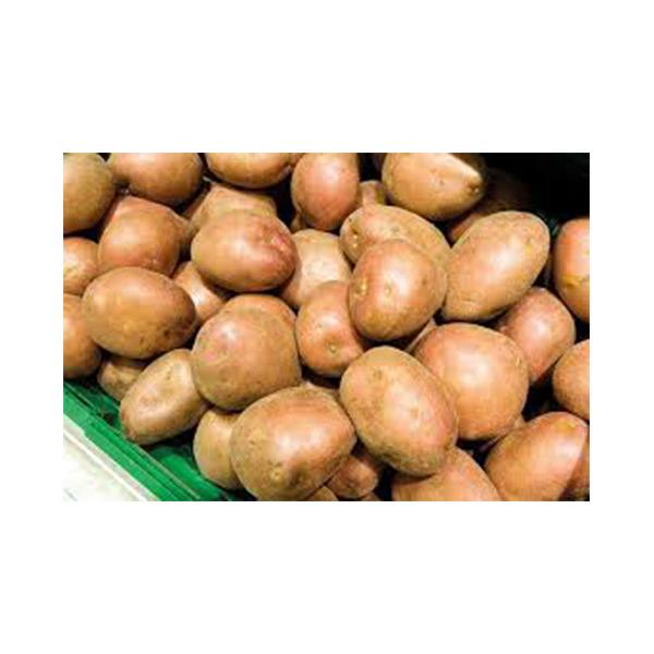 Fresh Potato 