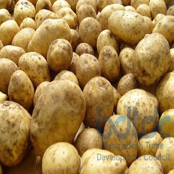 Fresh Potatoes