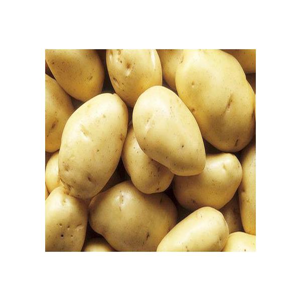 Fresh Potatoes