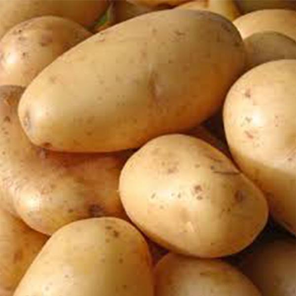 POTATO