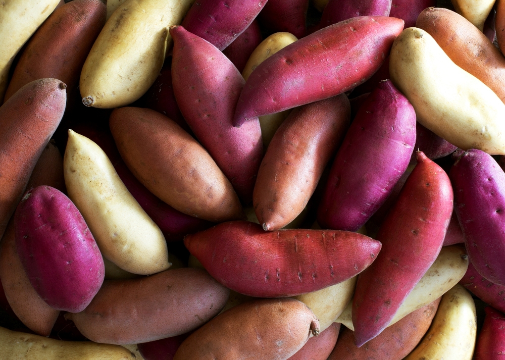 Red Sweet Potato