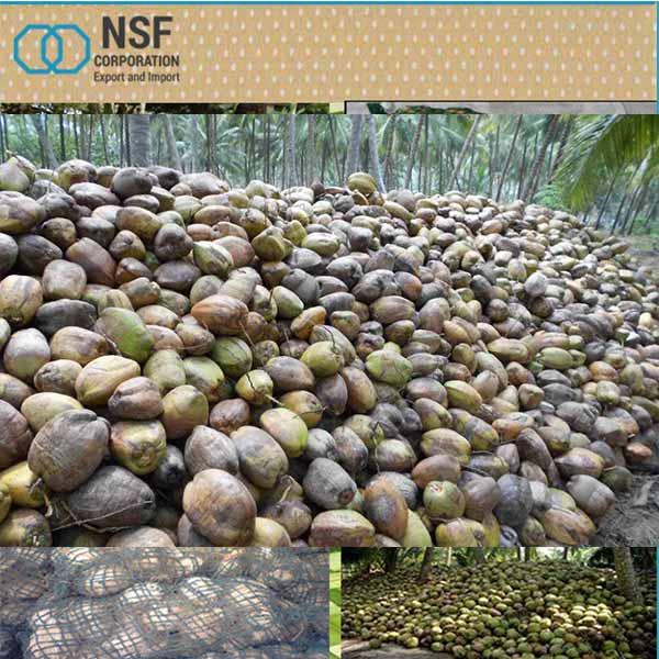  Pure Fresh Semi  coconut 