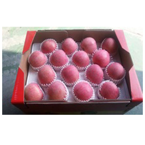 Fresh Fuji Apple