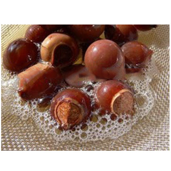 Soap Nut