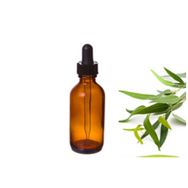 Eucalyptus Oil
