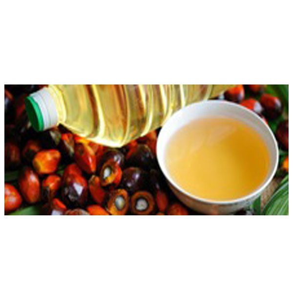 Palm Oil