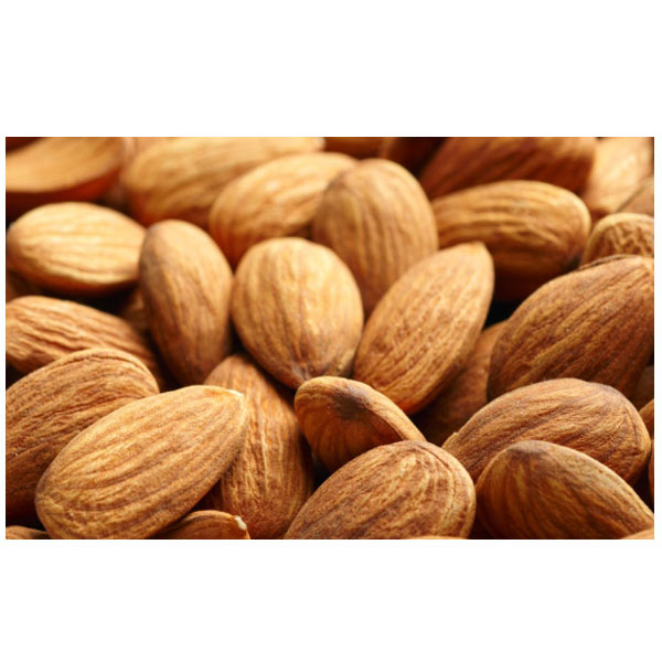 Bitter Apricot Kernel