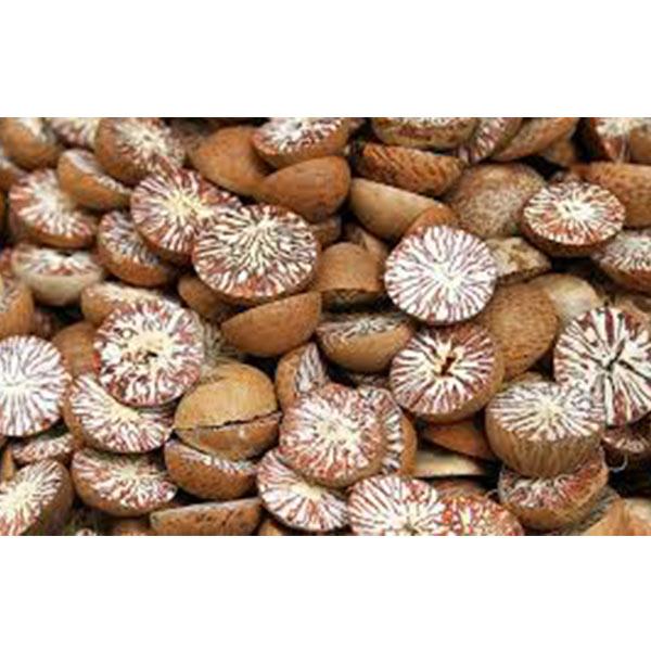 Natural Raw Dried Betel Nuts