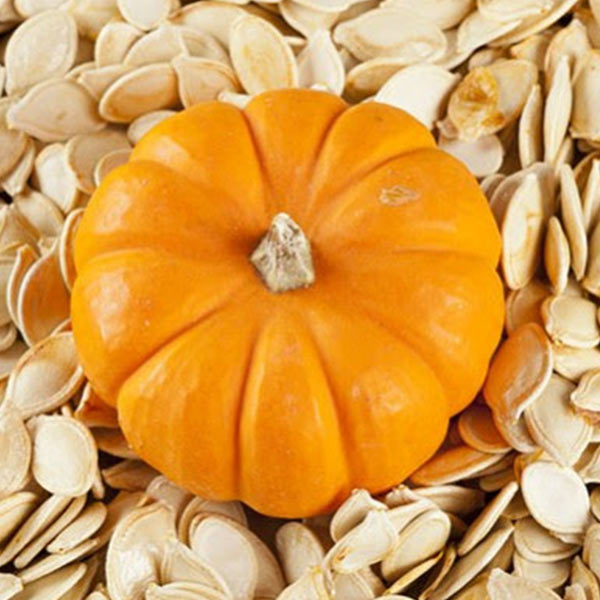 Pumpkin Seeds