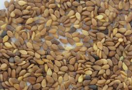 Sesame seeds 