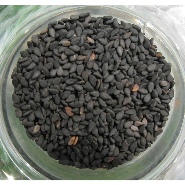 Black Sesame Seeds