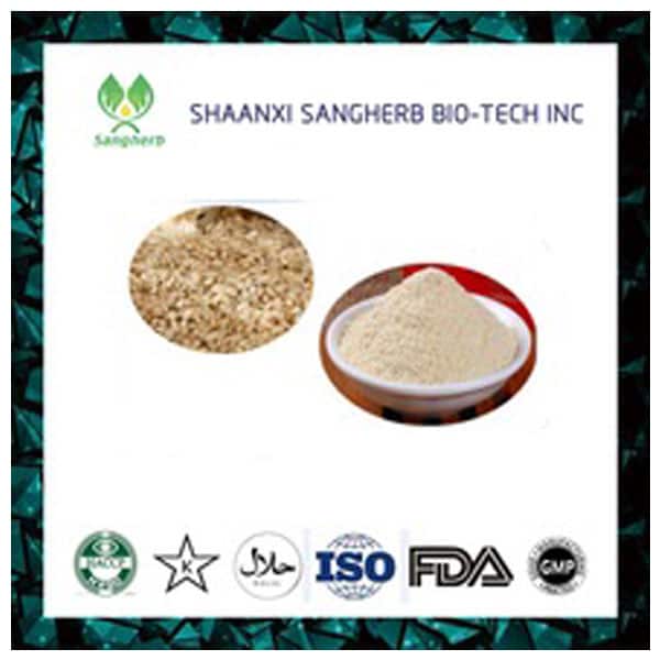 Brown Rice Protein