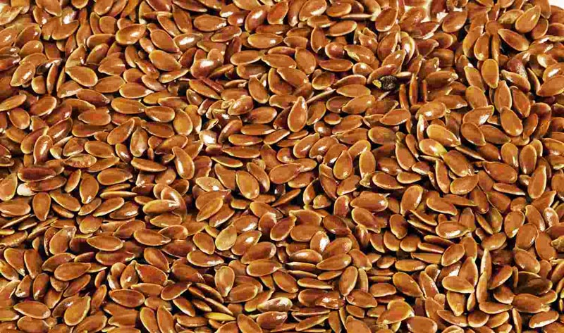 FLAX SEED