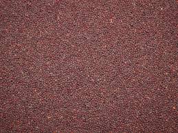 Mustard Seed 