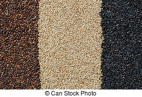 SESAME SEEDS BLACK RED BROWN WHITE FROM EXPORT TRADE ASSOCIATE