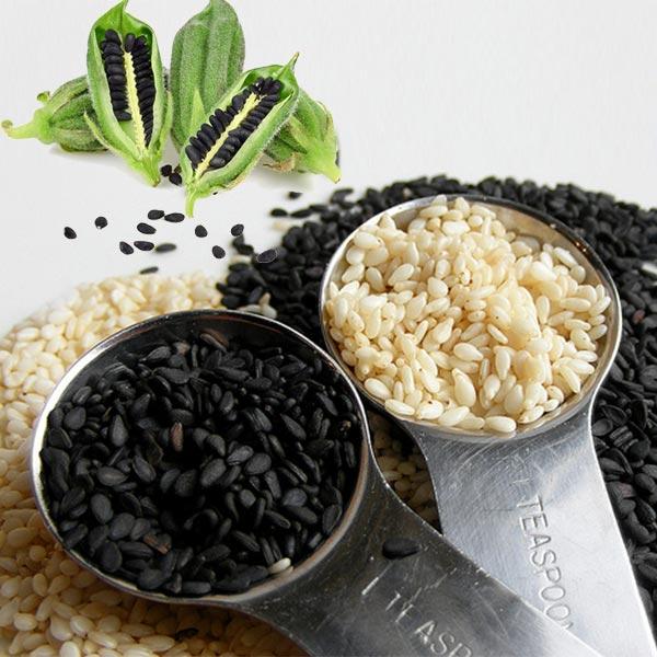 SESAME SEED