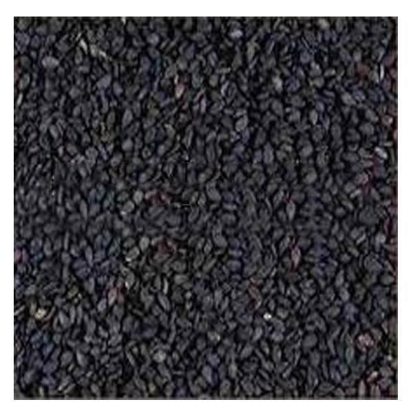 Sesame Seed