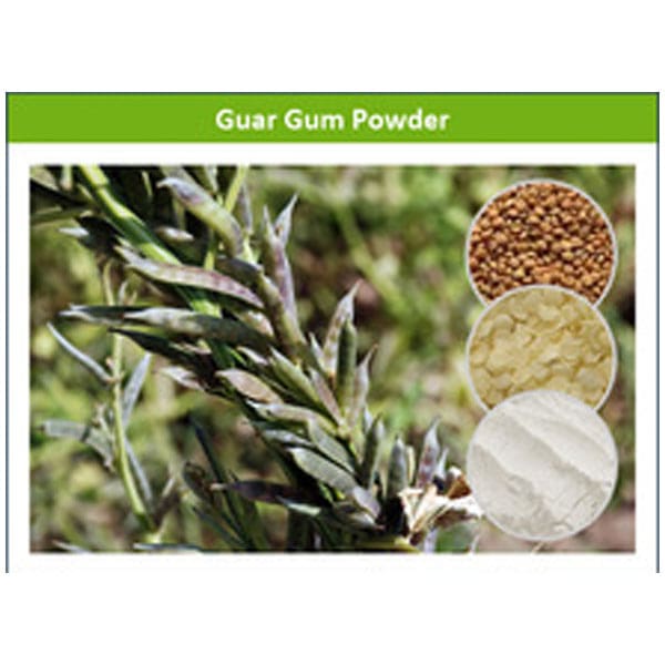 Guar Gum Powder