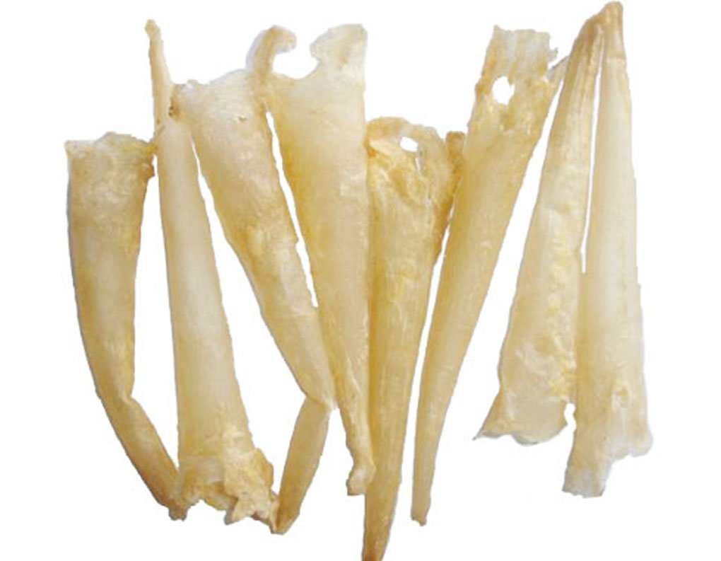 Big Quantity Export Dried Fish Maws from Bangladesh