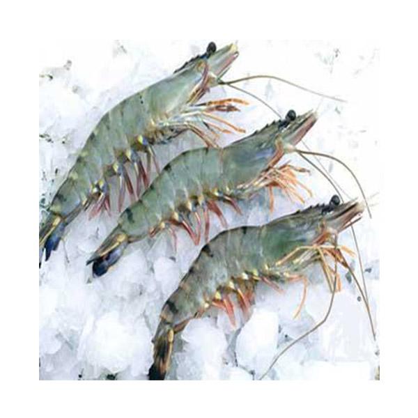 Black Tiger Shrimp 
