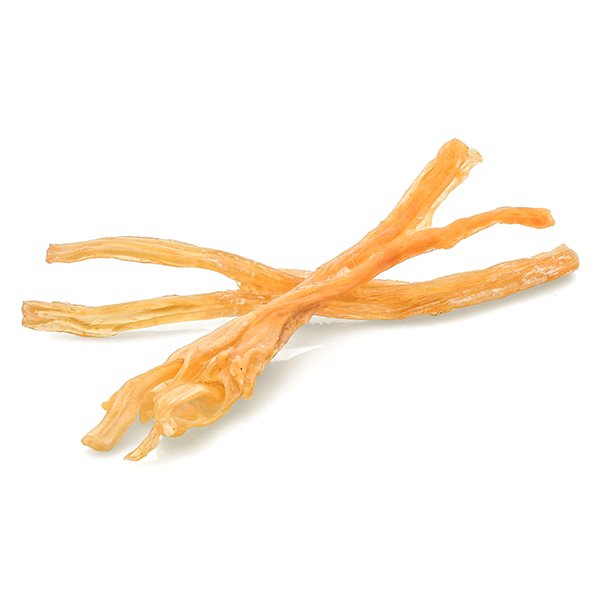 Cattle Tendon