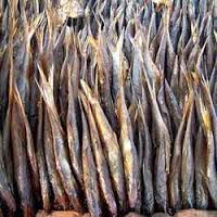 Dry Fish 