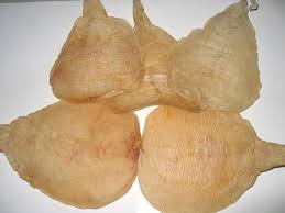 FishMaw 