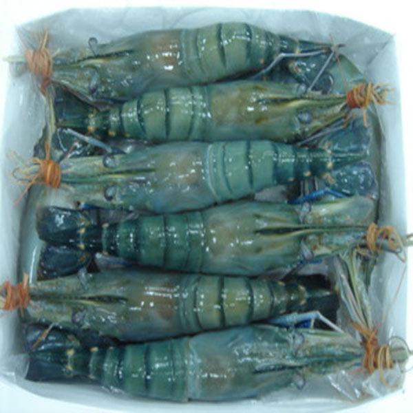 Fresh Water Scampi