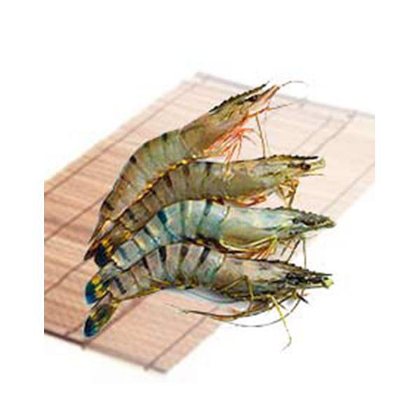 Frozen Fish
