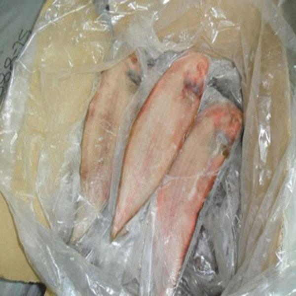 Frozen Sole Fish