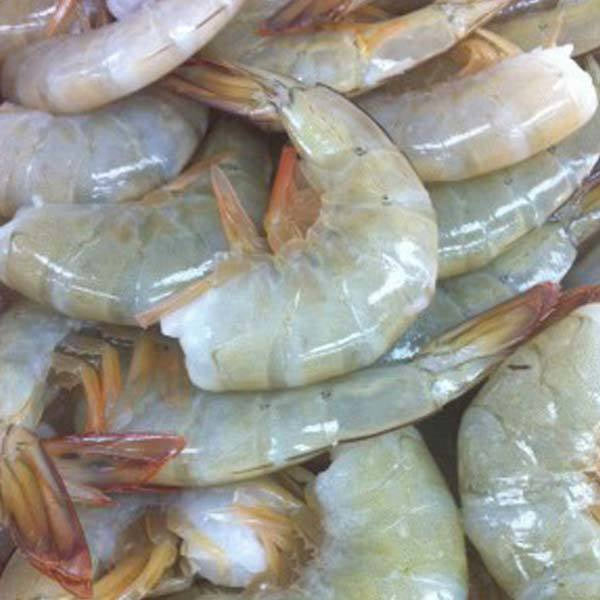 Harina Fish