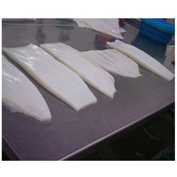 Skinless Squid