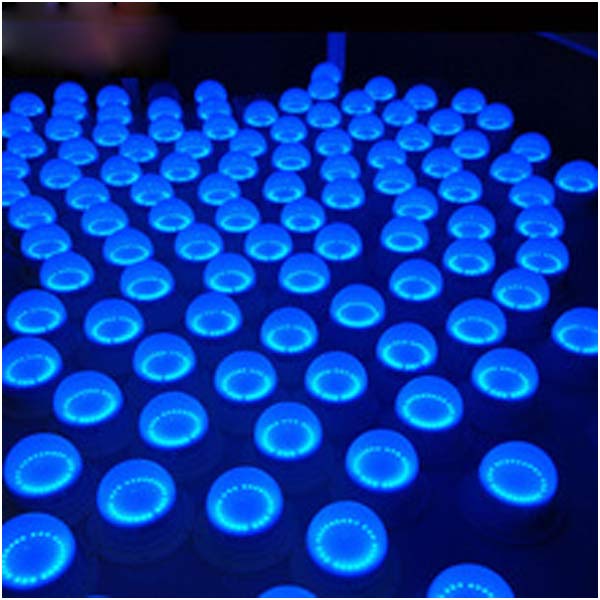 LED Decoration Light
