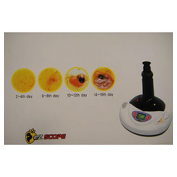 Bird Brooder